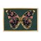 Stupell Industries Ornate Pattern Butterfly Framed Floater Canvas Wall Art Design by Victoria Barnes